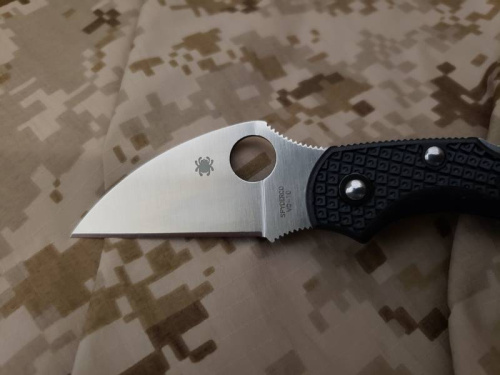 Складной нож Spyderco Dragonfly 2 Wharncliffe C28FPWCBK2 фото 15 Складной нож Spyderco Dragonfly 2 Wharncliffe C28FPWCBK2 фото 15