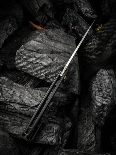 Складной нож WE Knife Seer Black фото 4