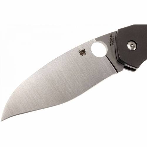 5891 Spyderco Myrtle - C194CFTIP фото 14