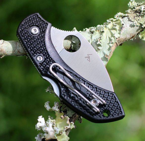 Складной нож Spyderco Dragonfly 2 Wharncliffe C28FPWCBK2 фото 14 Складной нож Spyderco Dragonfly 2 Wharncliffe C28FPWCBK2 фото 14